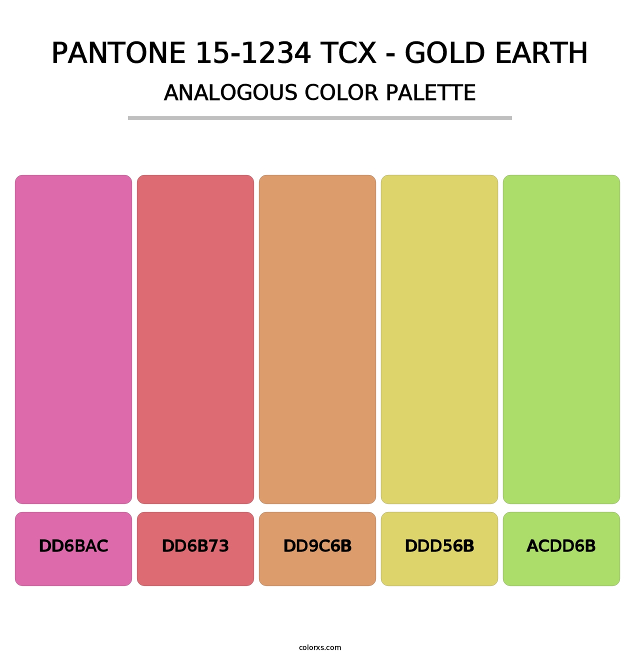 PANTONE 15-1234 TCX - Gold Earth - Analogous Color Palette