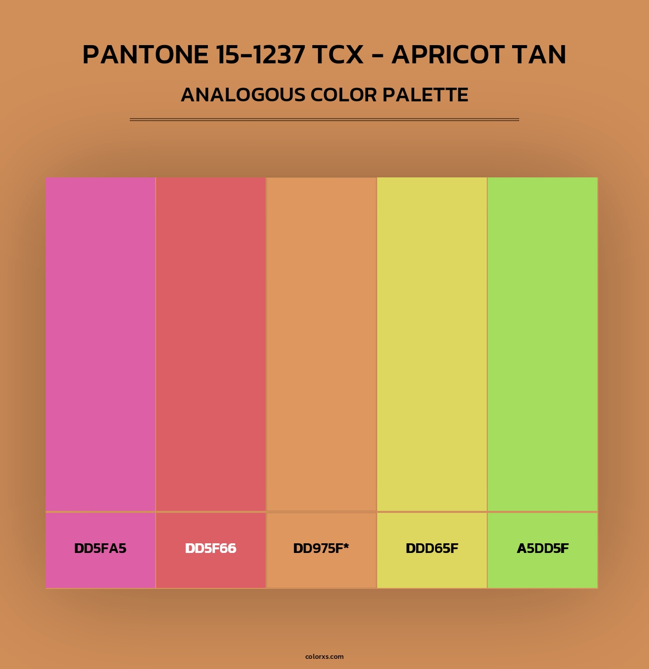 PANTONE 15-1237 TCX - Apricot Tan - Analogous Color Palette