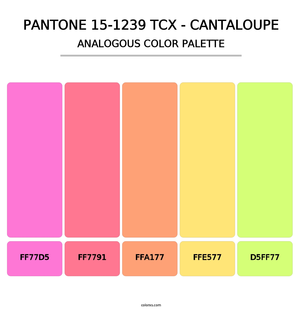PANTONE 15-1239 TCX - Cantaloupe - Analogous Color Palette