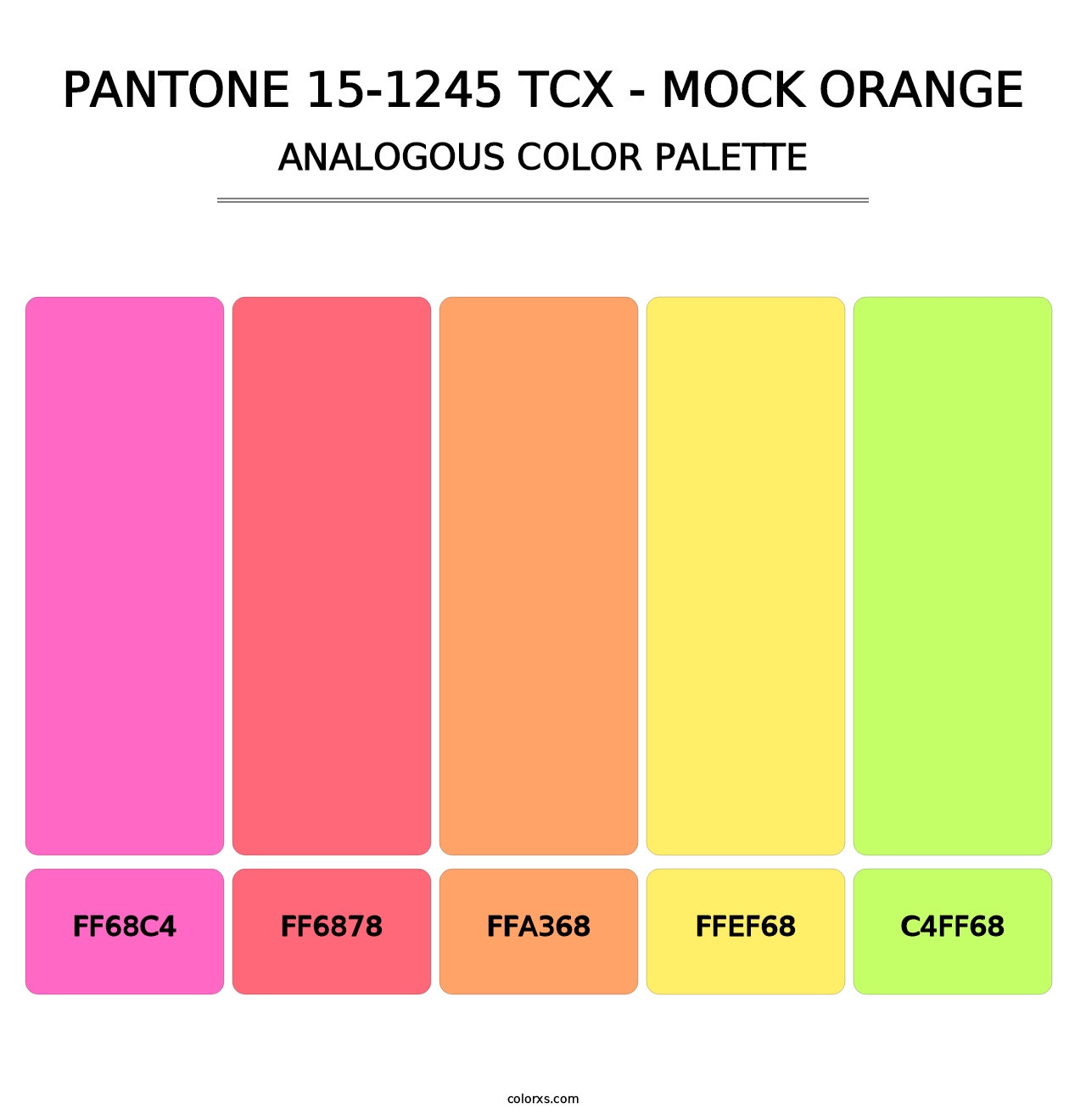 PANTONE 15-1245 TCX - Mock Orange - Analogous Color Palette