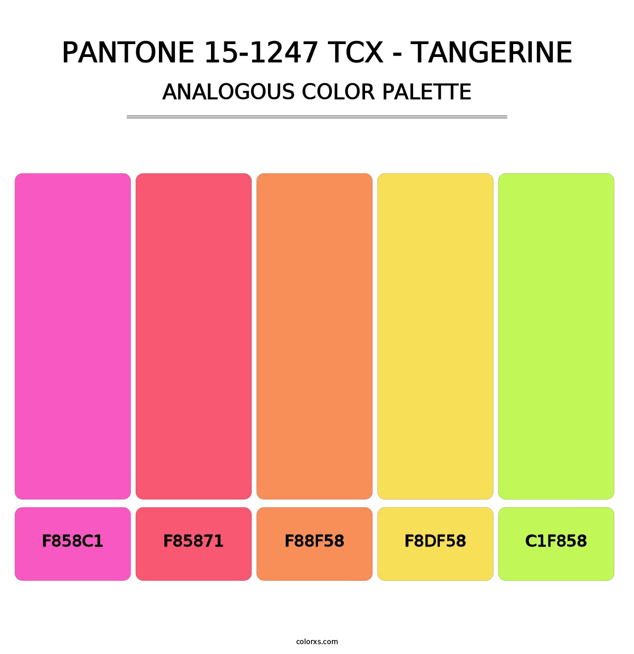 PANTONE 15-1247 TCX - Tangerine - Analogous Color Palette