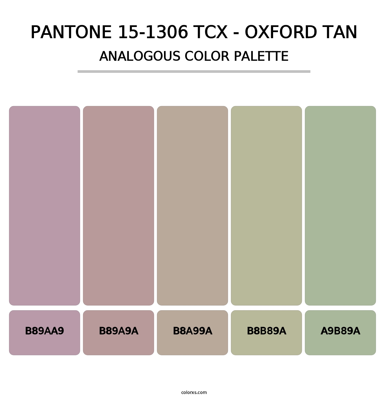 PANTONE 15-1306 TCX - Oxford Tan - Analogous Color Palette