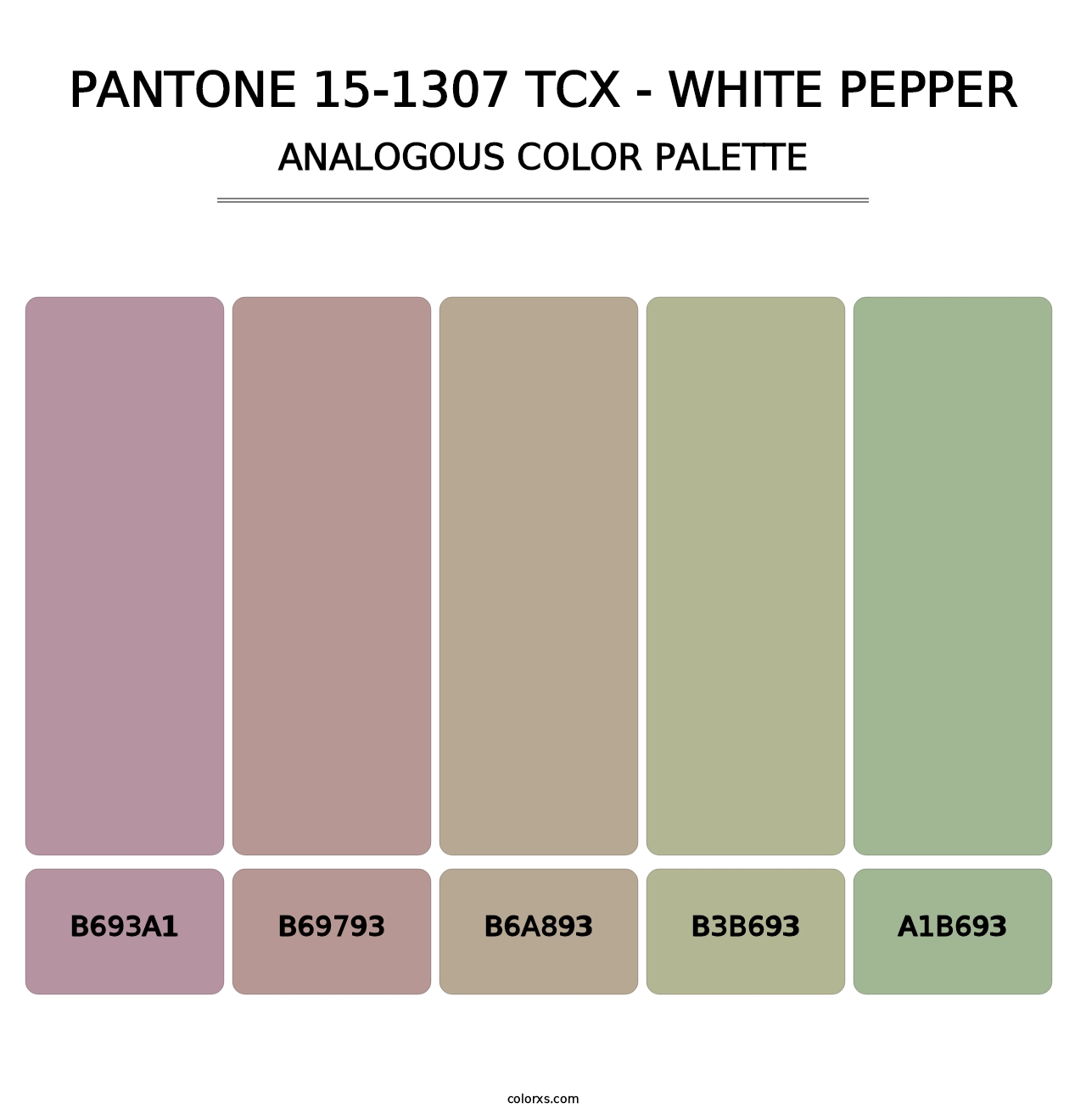 PANTONE 15-1307 TCX - White Pepper - Analogous Color Palette