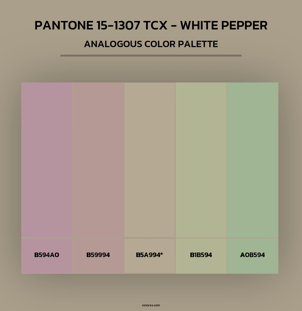 PANTONE 15-1307 TCX - White Pepper - Analogous Color Palette