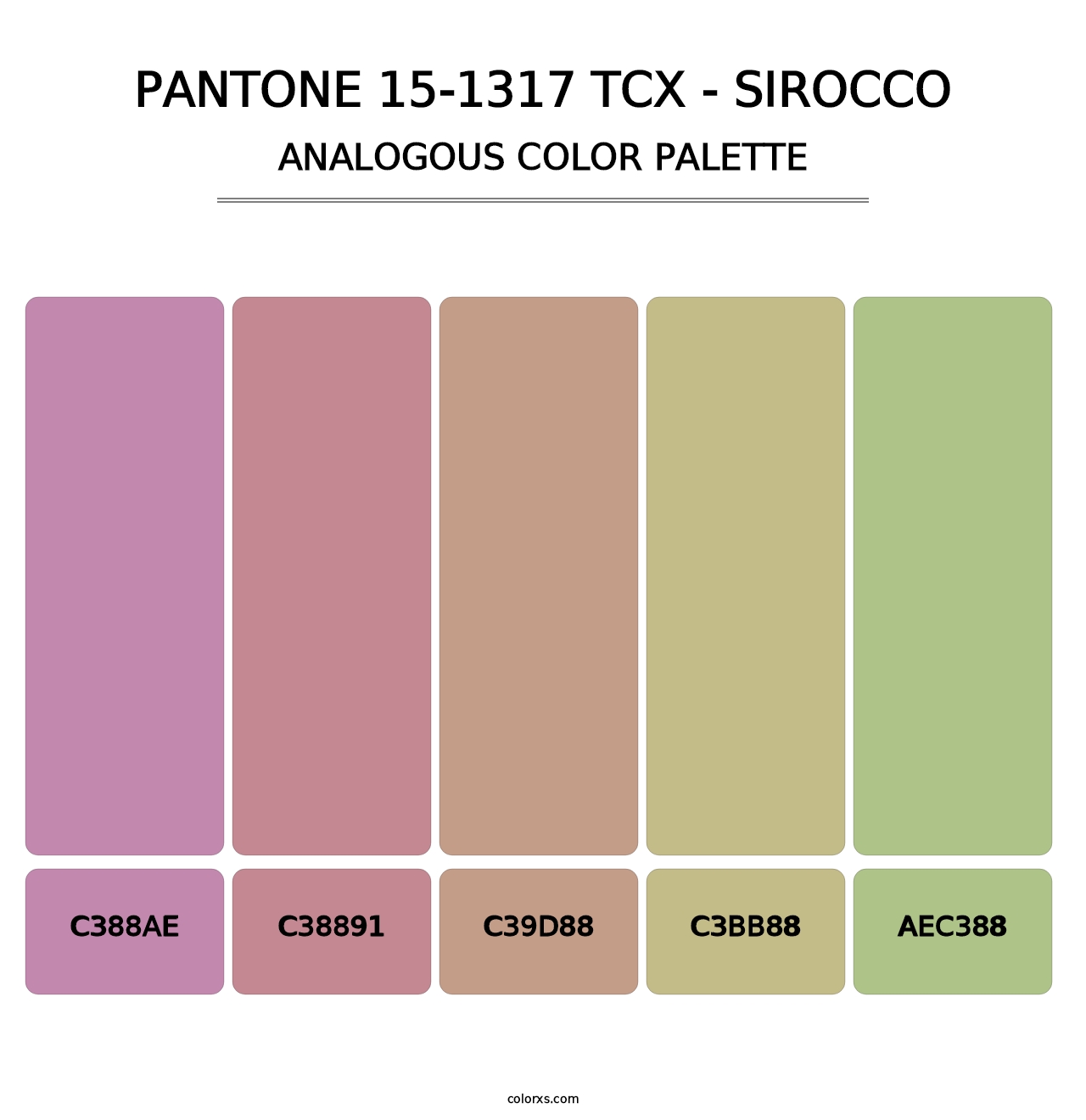 PANTONE 15-1317 TCX - Sirocco - Analogous Color Palette