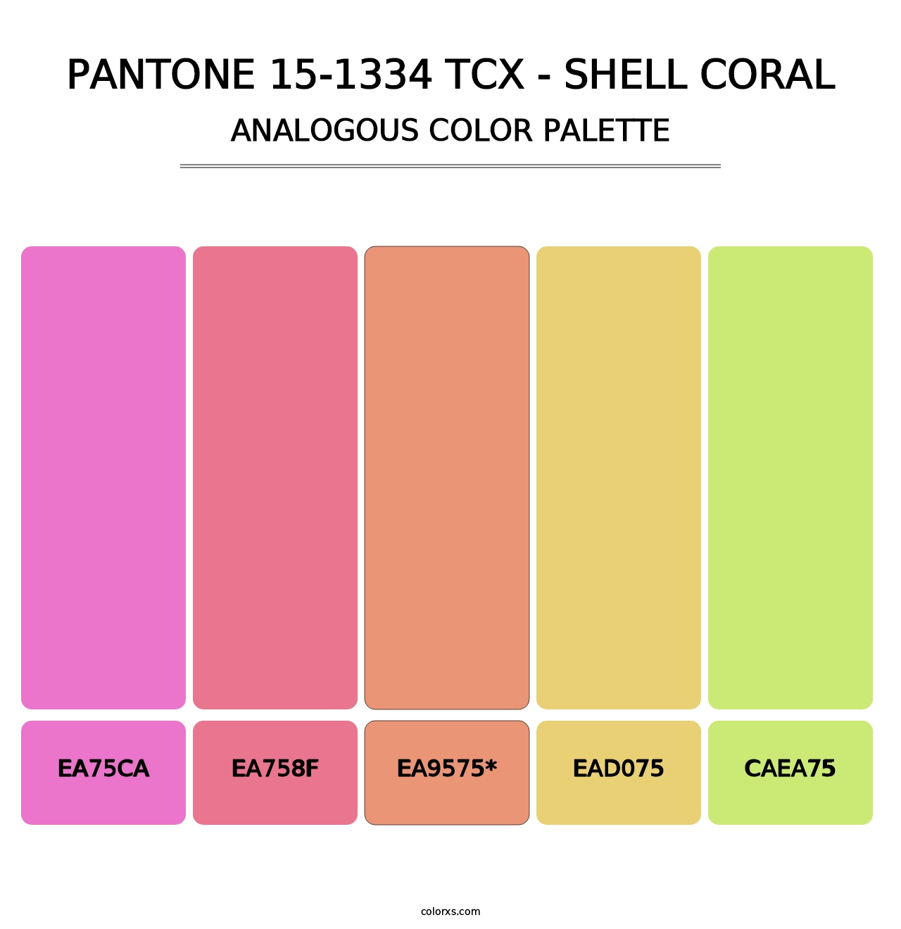 PANTONE 15-1334 TCX - Shell Coral - Analogous Color Palette