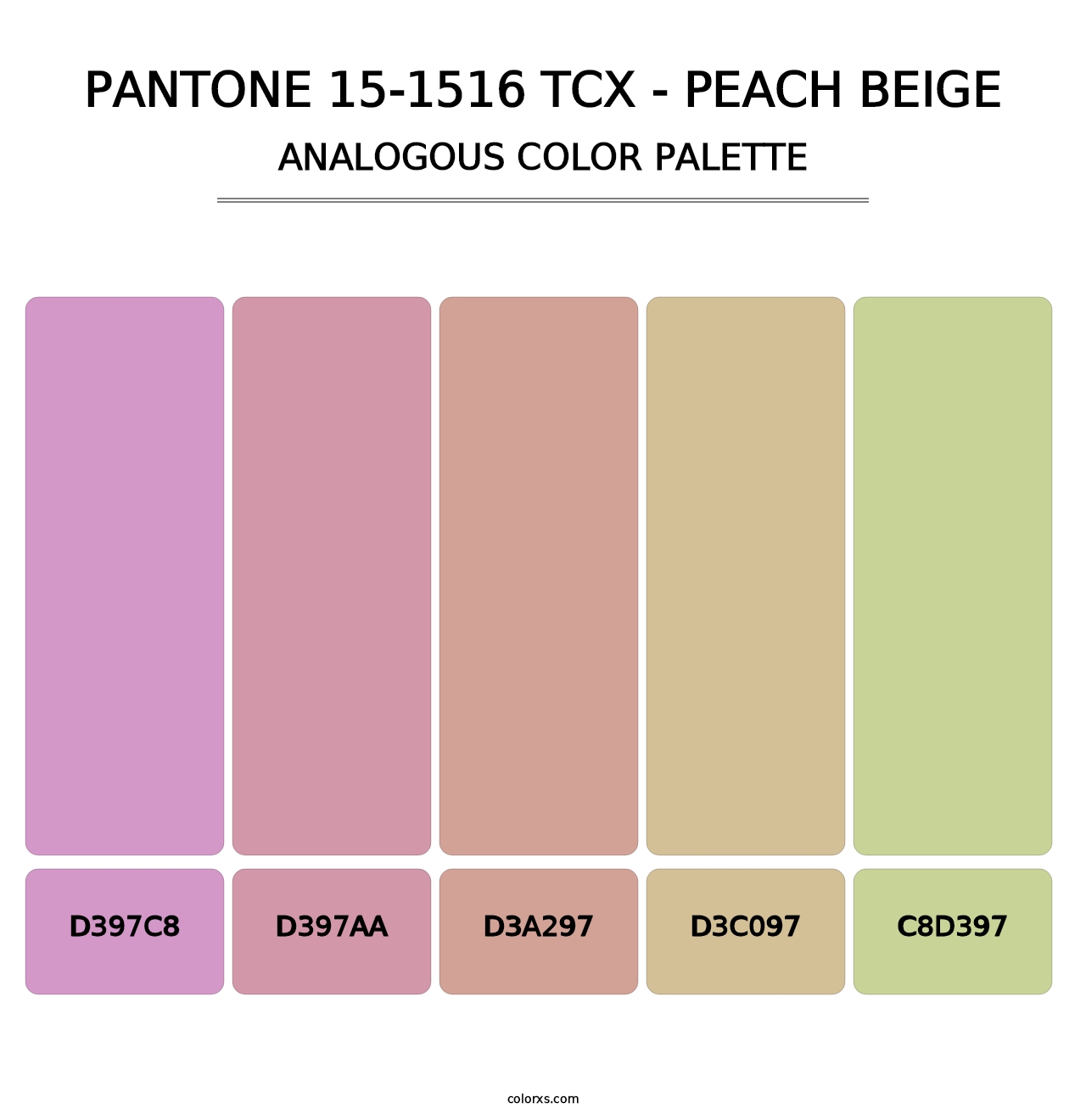 PANTONE 15-1516 TCX - Peach Beige - Analogous Color Palette