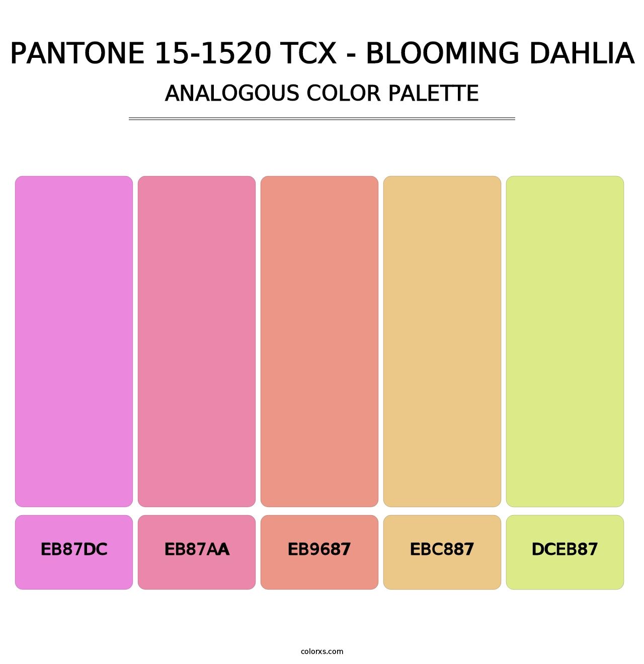 PANTONE 15-1520 TCX - Blooming Dahlia - Analogous Color Palette