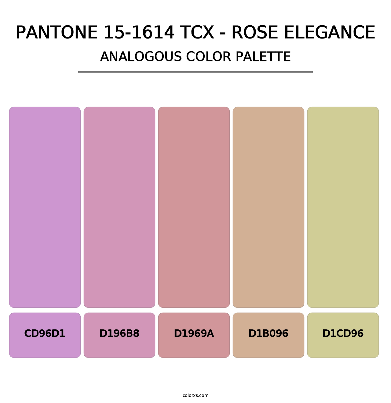 PANTONE 15-1614 TCX - Rose Elegance - Analogous Color Palette