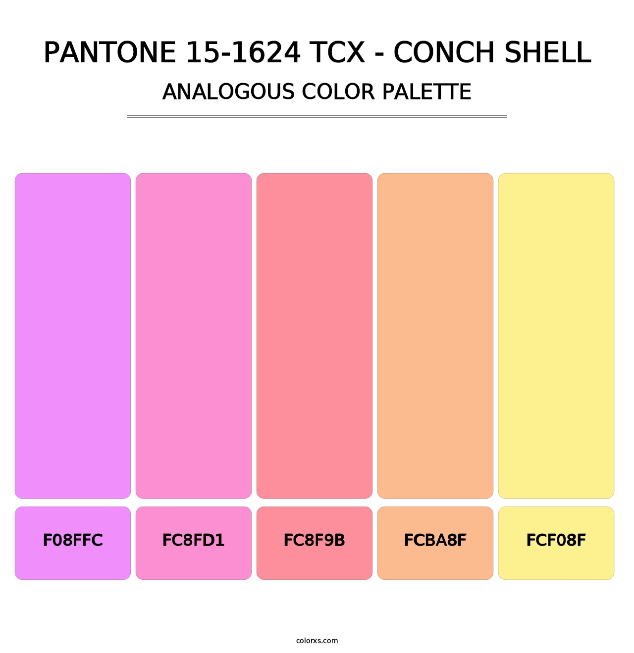 PANTONE 15-1624 TCX - Conch Shell - Analogous Color Palette