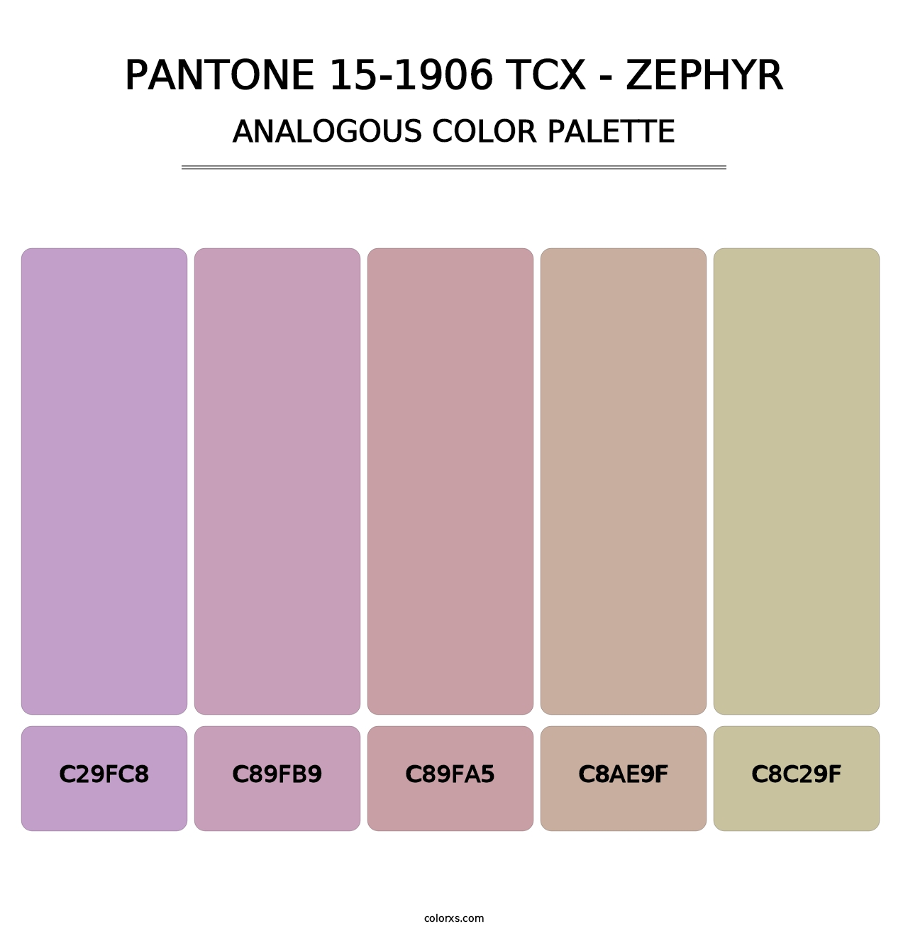 PANTONE 15-1906 TCX - Zephyr - Analogous Color Palette