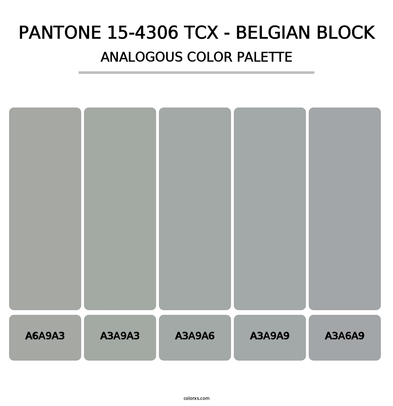 PANTONE 15-4306 TCX - Belgian Block - Analogous Color Palette