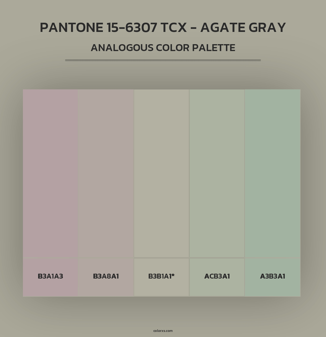 PANTONE 15-6307 TCX - Agate Gray - Analogous Color Palette