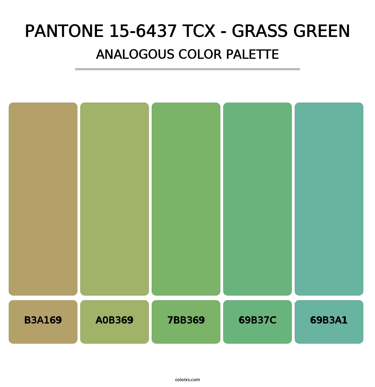 PANTONE 15-6437 TCX - Grass Green - Analogous Color Palette
