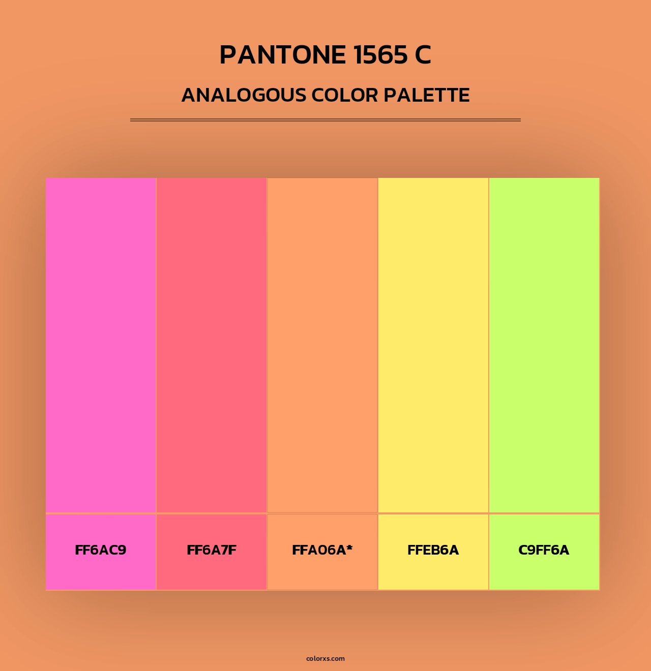 PANTONE 1565 C - Analogous Color Palette