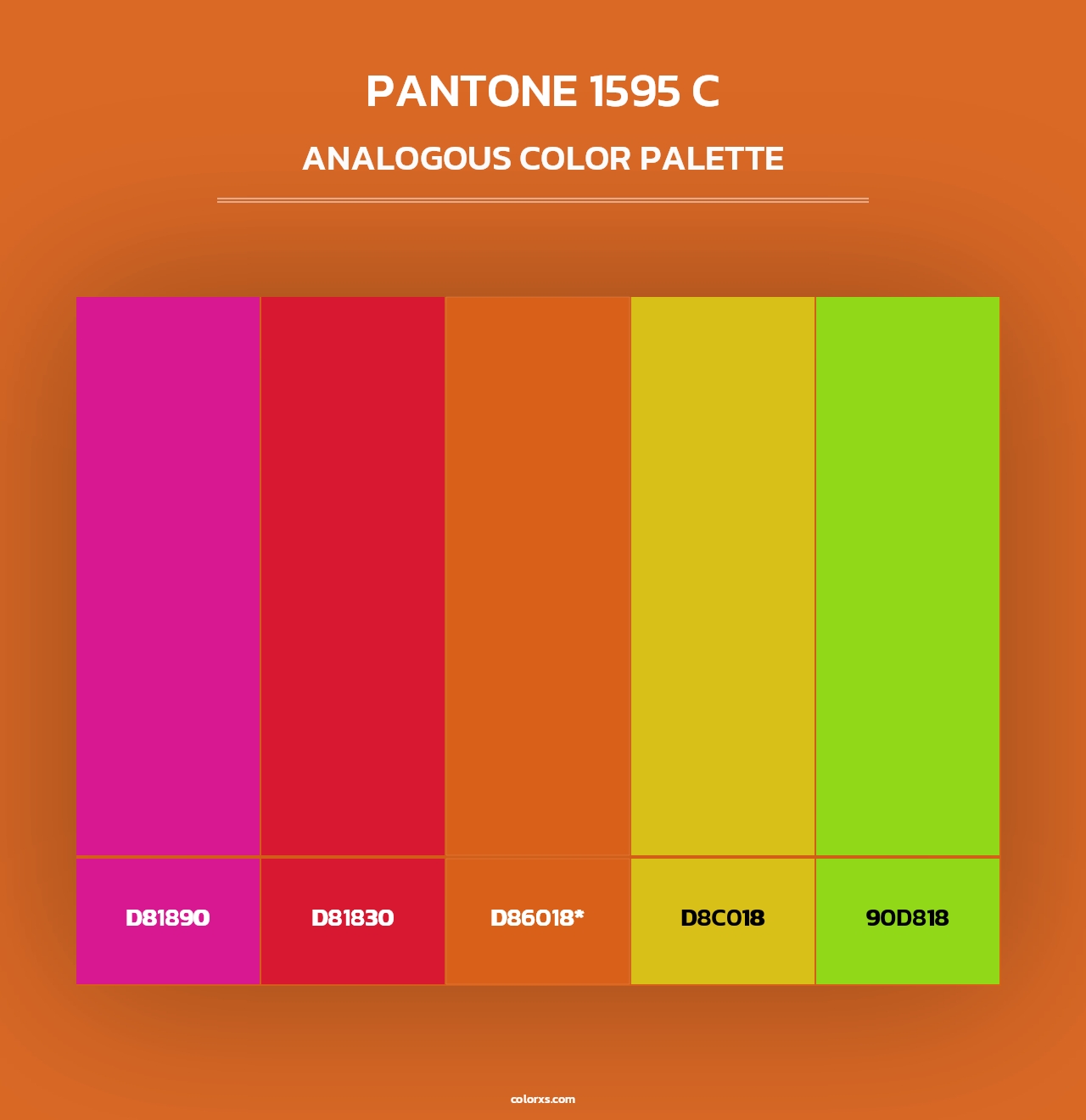 PANTONE 1595 C - Analogous Color Palette