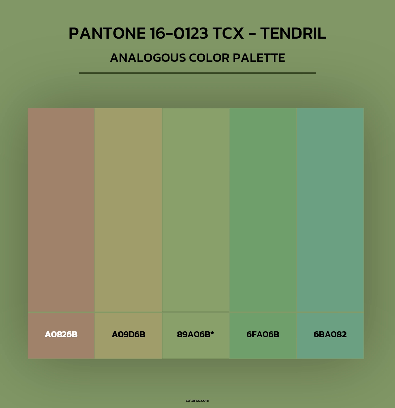 PANTONE 16-0123 TCX - Tendril - Analogous Color Palette