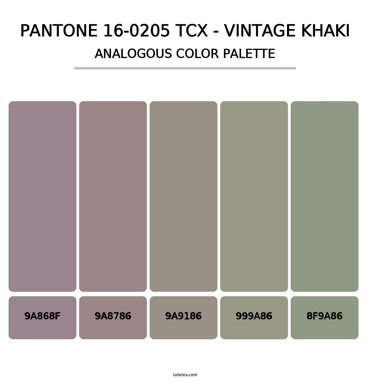 PANTONE 16-0205 TCX - Vintage Khaki - Analogous Color Palette