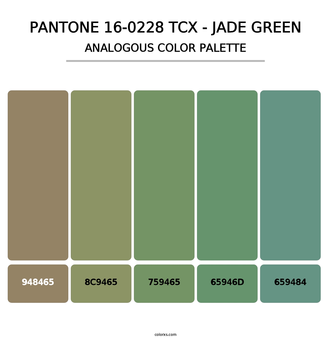 PANTONE 16-0228 TCX - Jade Green - Analogous Color Palette