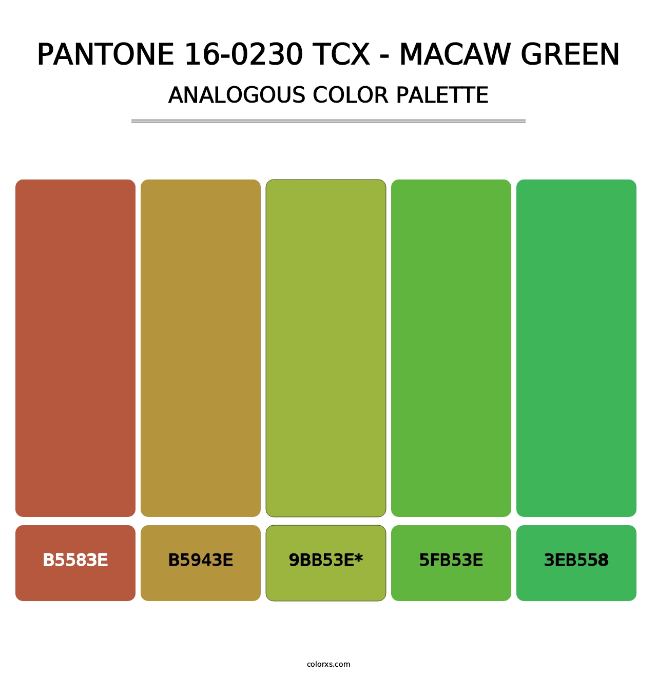 PANTONE 16-0230 TCX - Macaw Green - Analogous Color Palette