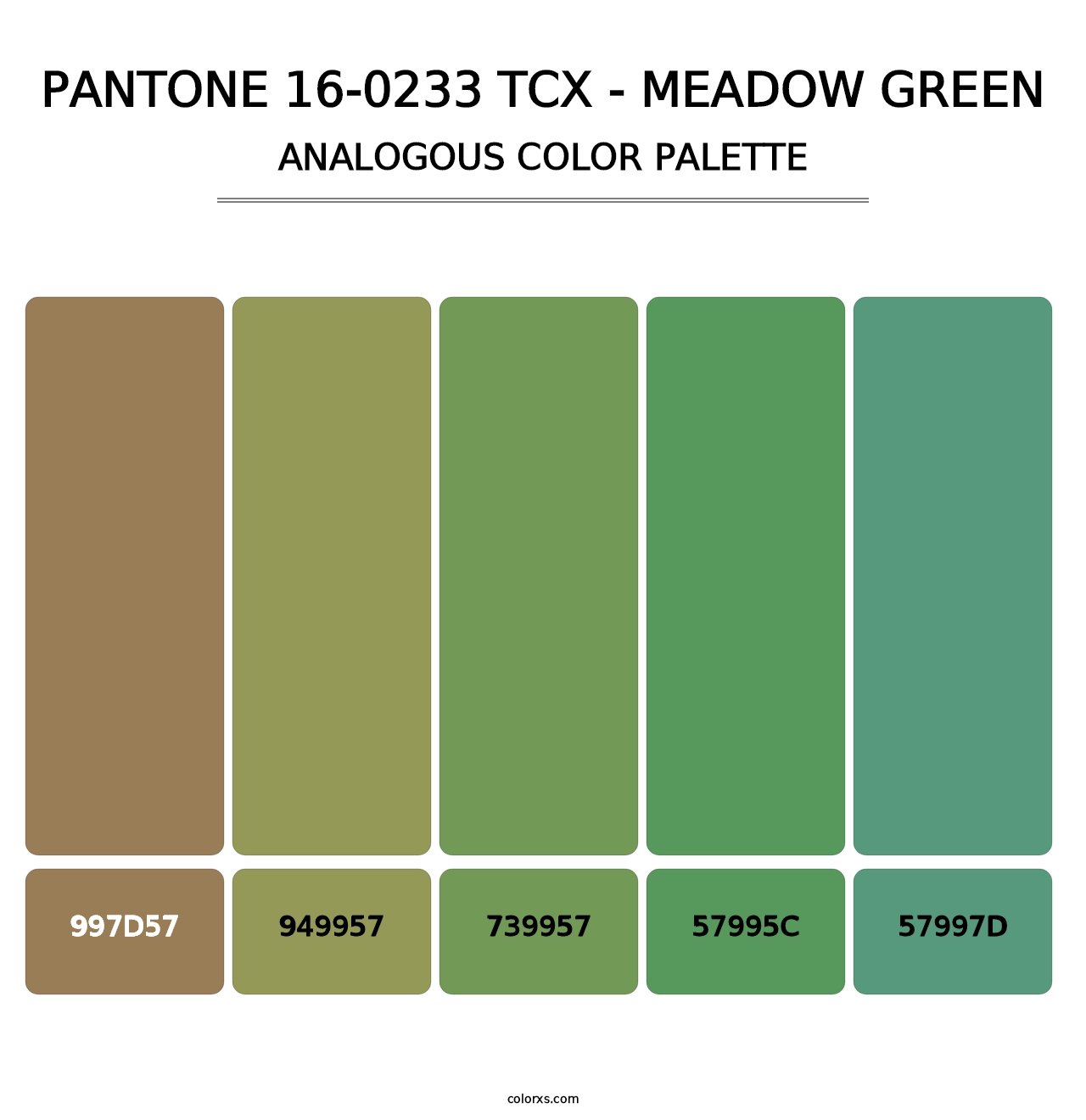 PANTONE 16-0233 TCX - Meadow Green - Analogous Color Palette