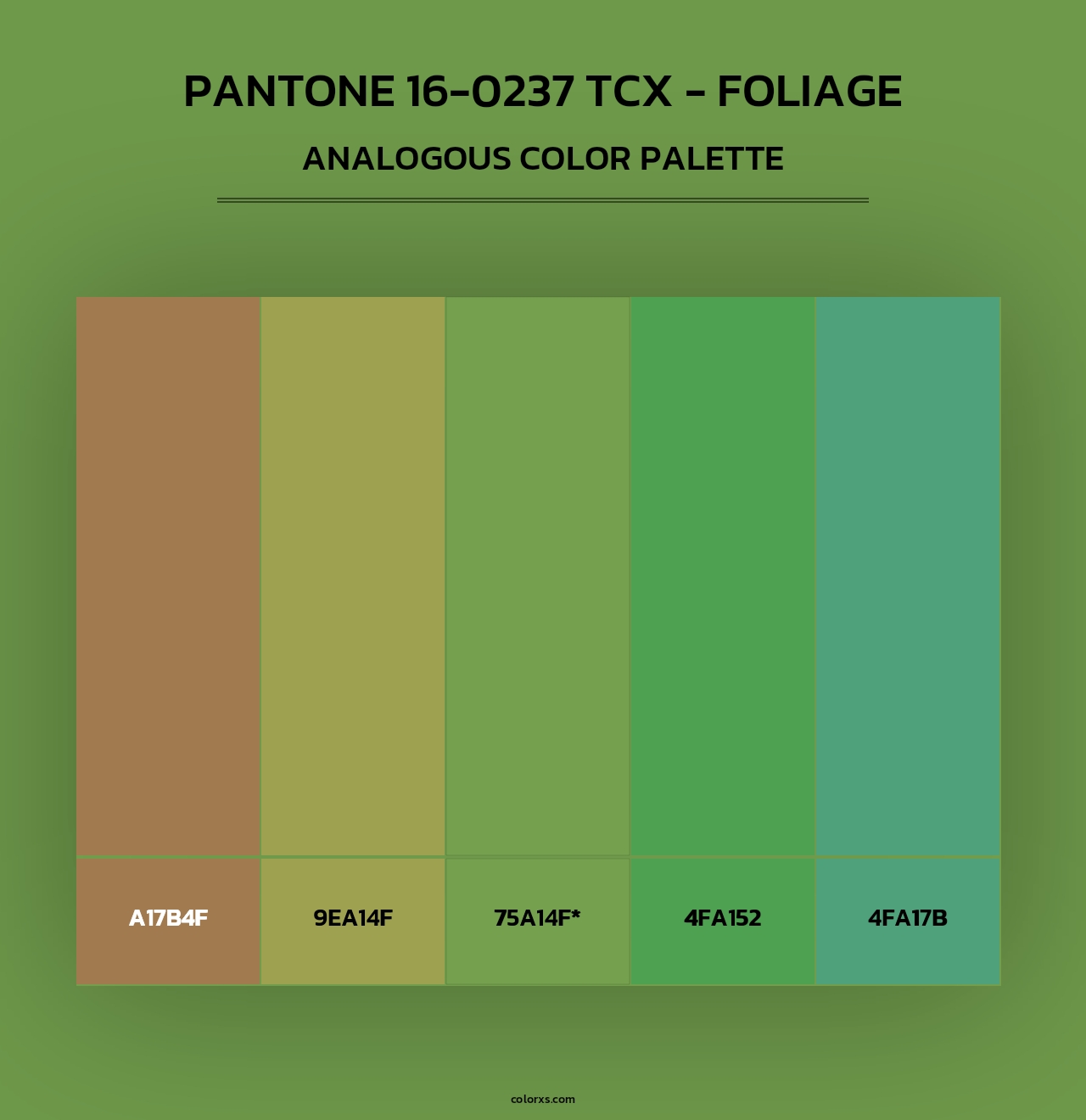 PANTONE 16-0237 TCX - Foliage - Analogous Color Palette