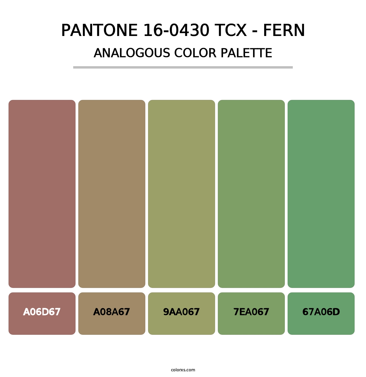 PANTONE 16-0430 TCX - Fern - Analogous Color Palette