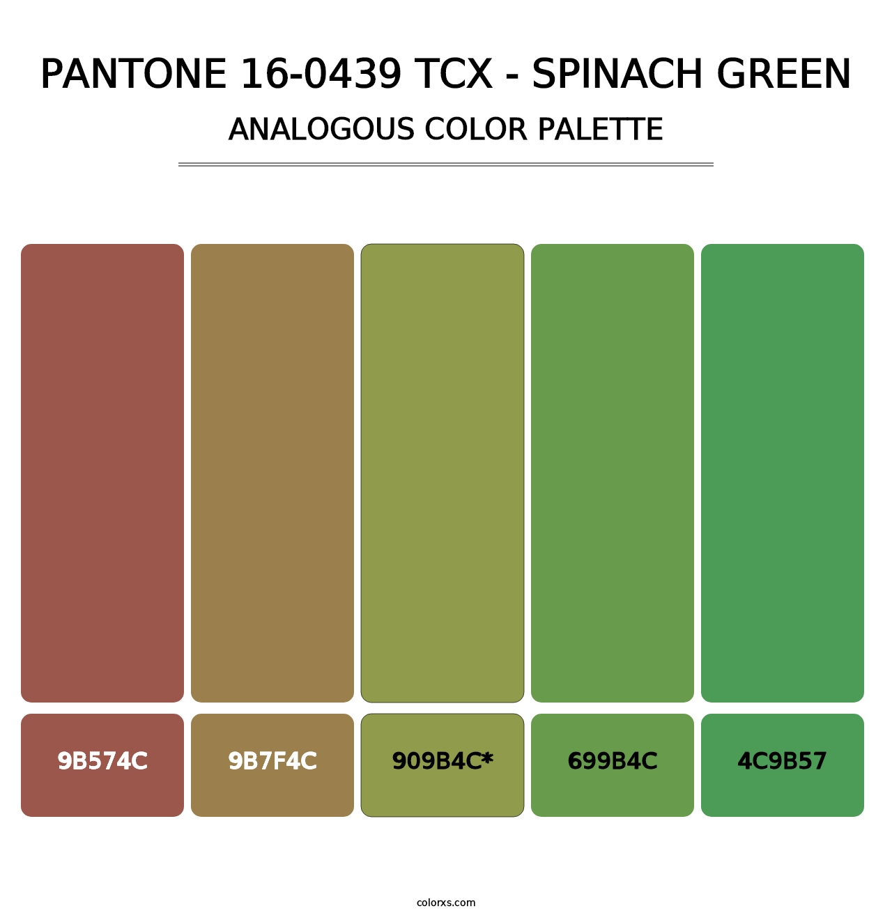 PANTONE 16-0439 TCX - Spinach Green - Analogous Color Palette