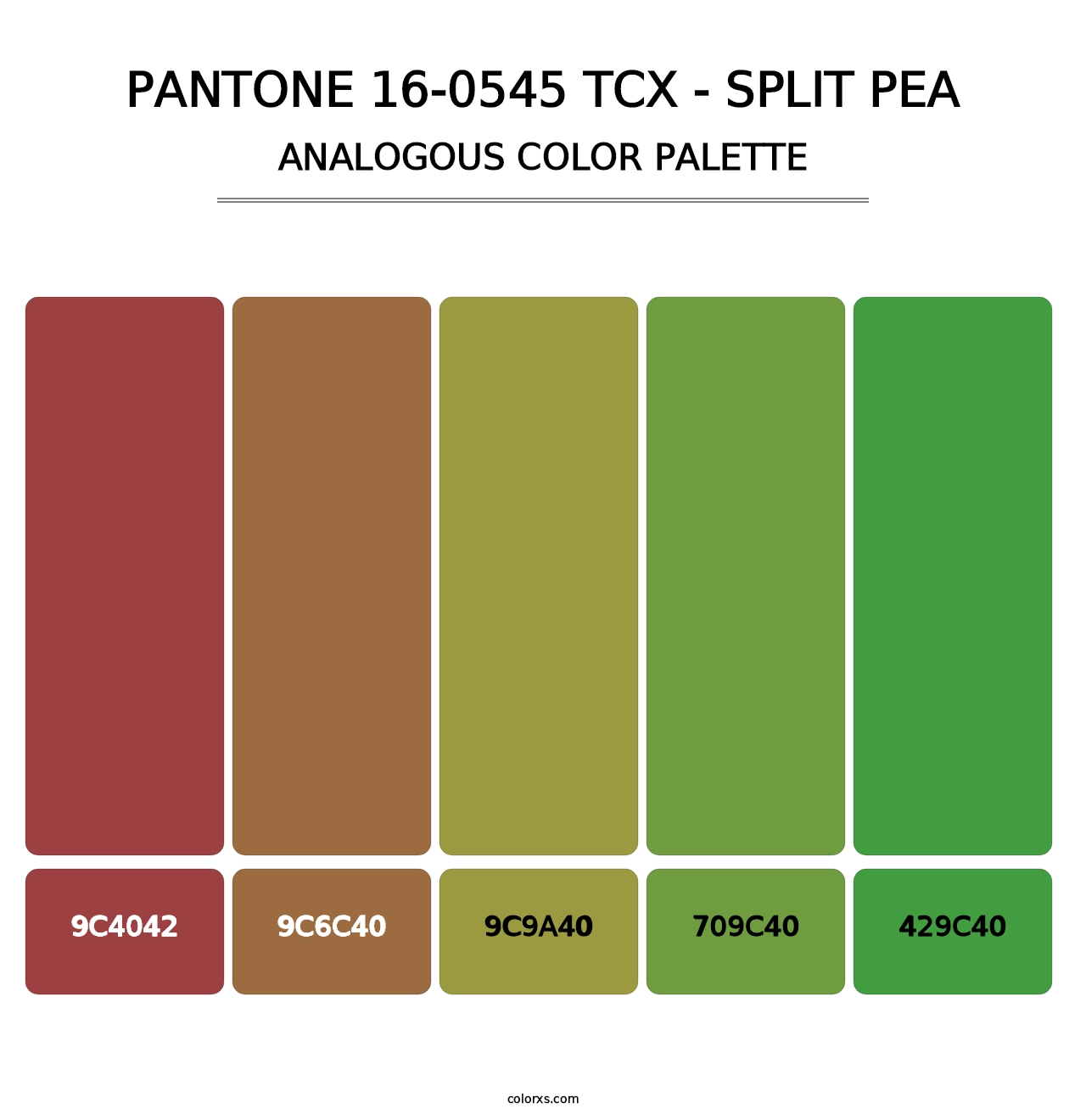 PANTONE 16-0545 TCX - Split Pea - Analogous Color Palette