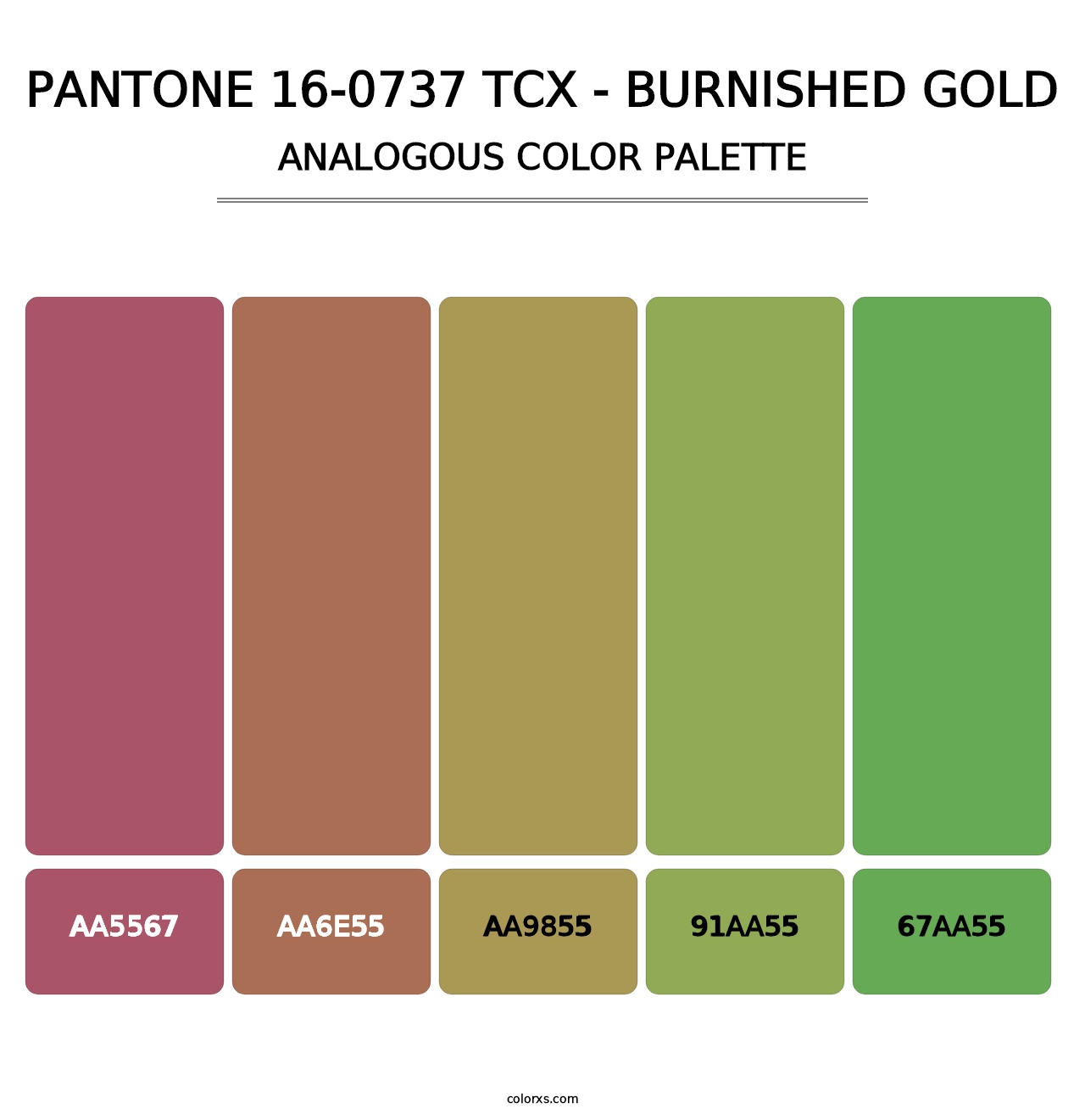 PANTONE 16-0737 TCX - Burnished Gold - Analogous Color Palette