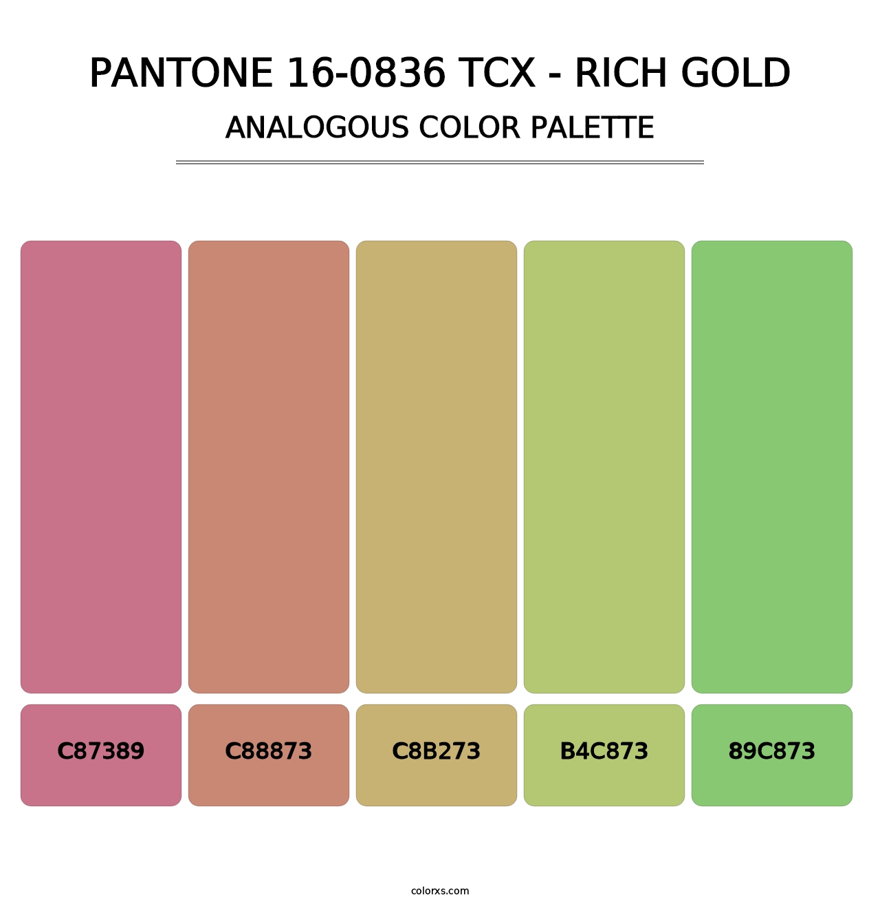 PANTONE 16-0836 TCX - Rich Gold - Analogous Color Palette