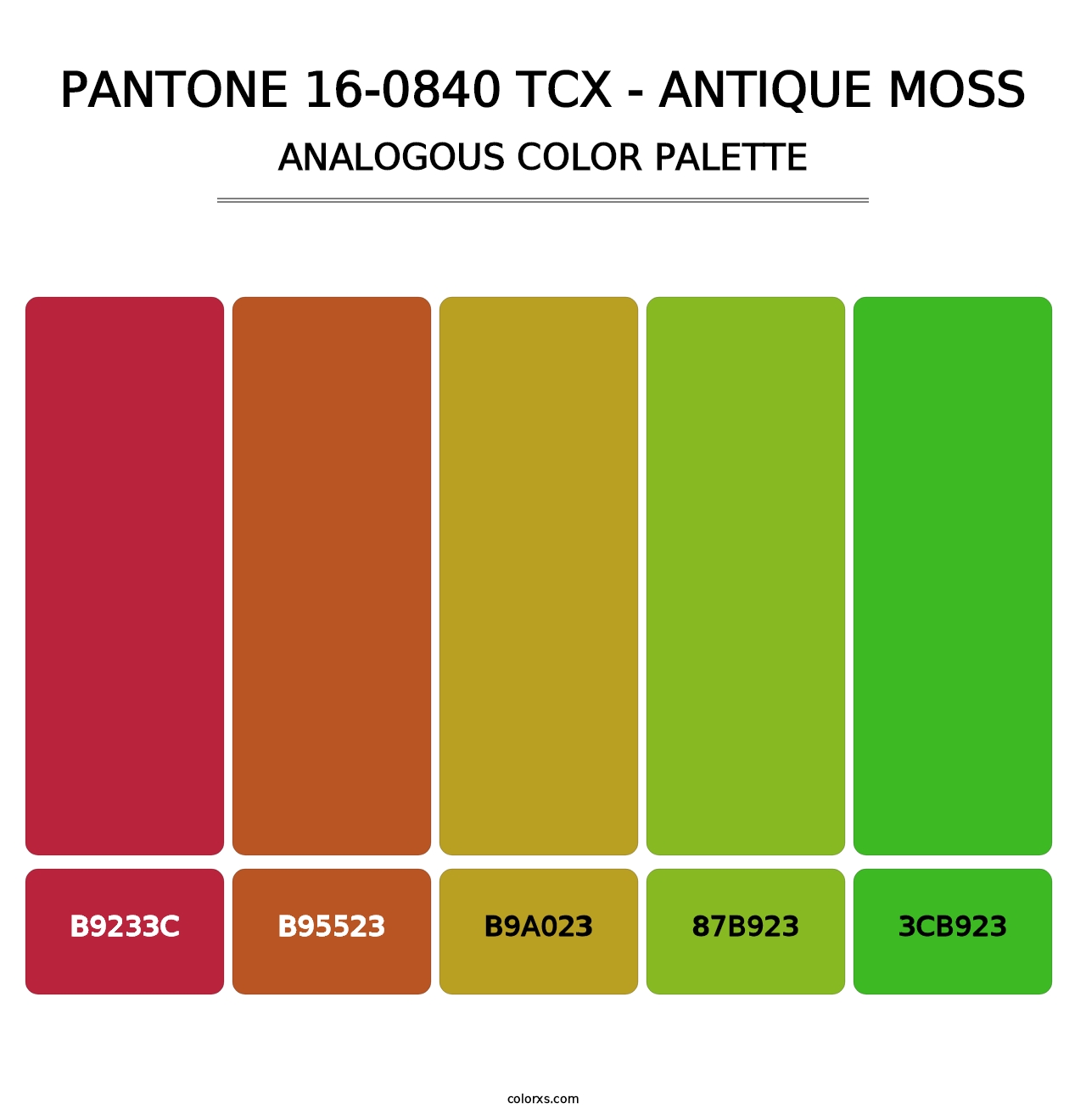 PANTONE 16-0840 TCX - Antique Moss - Analogous Color Palette