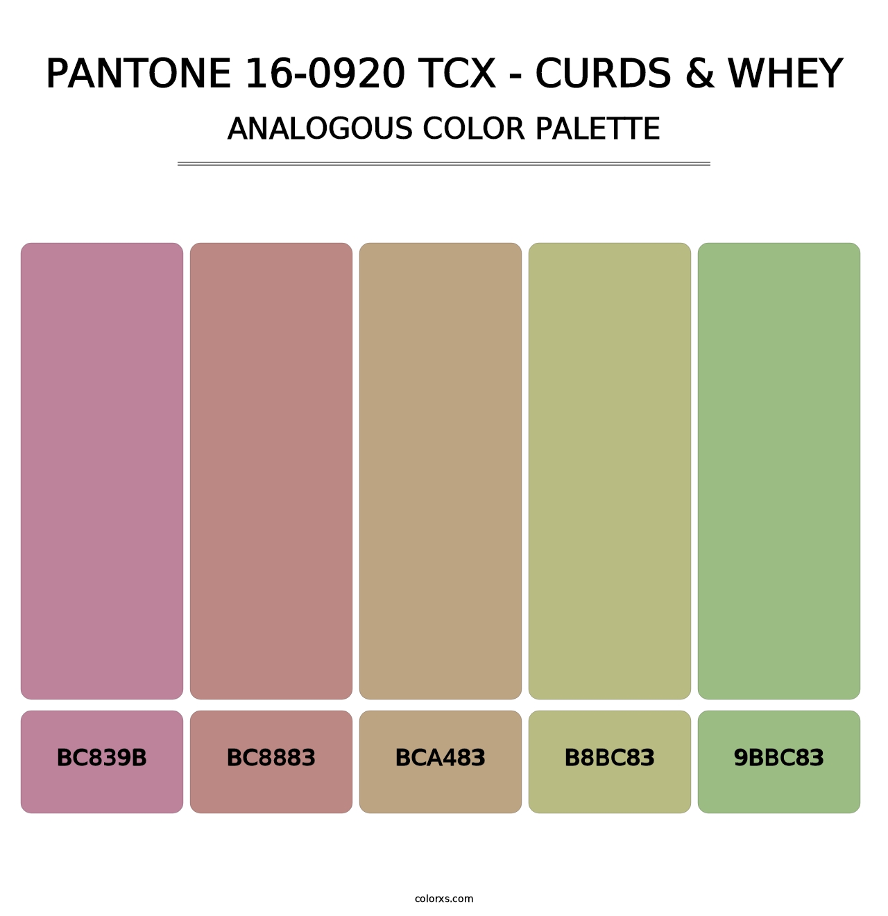 PANTONE 16-0920 TCX - Curds & Whey - Analogous Color Palette