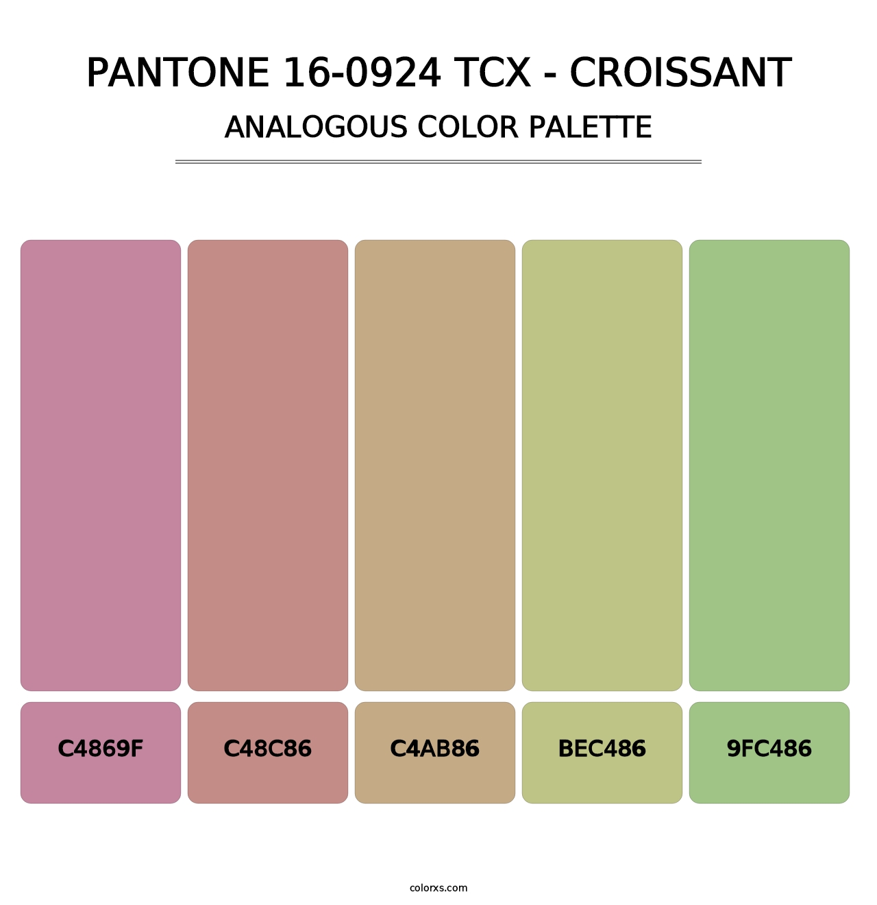 PANTONE 16-0924 TCX - Croissant - Analogous Color Palette