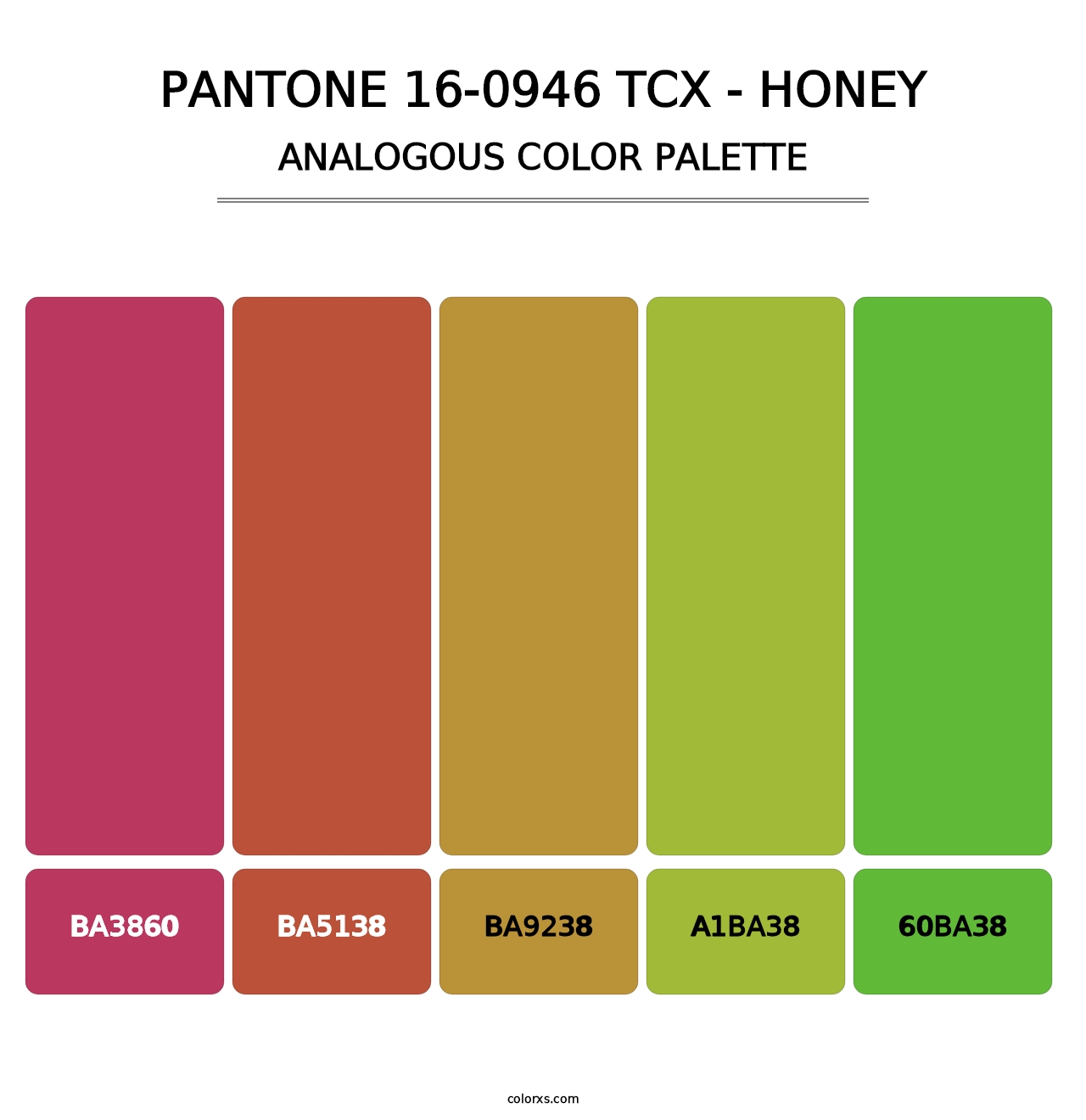 PANTONE 16-0946 TCX - Honey - Analogous Color Palette