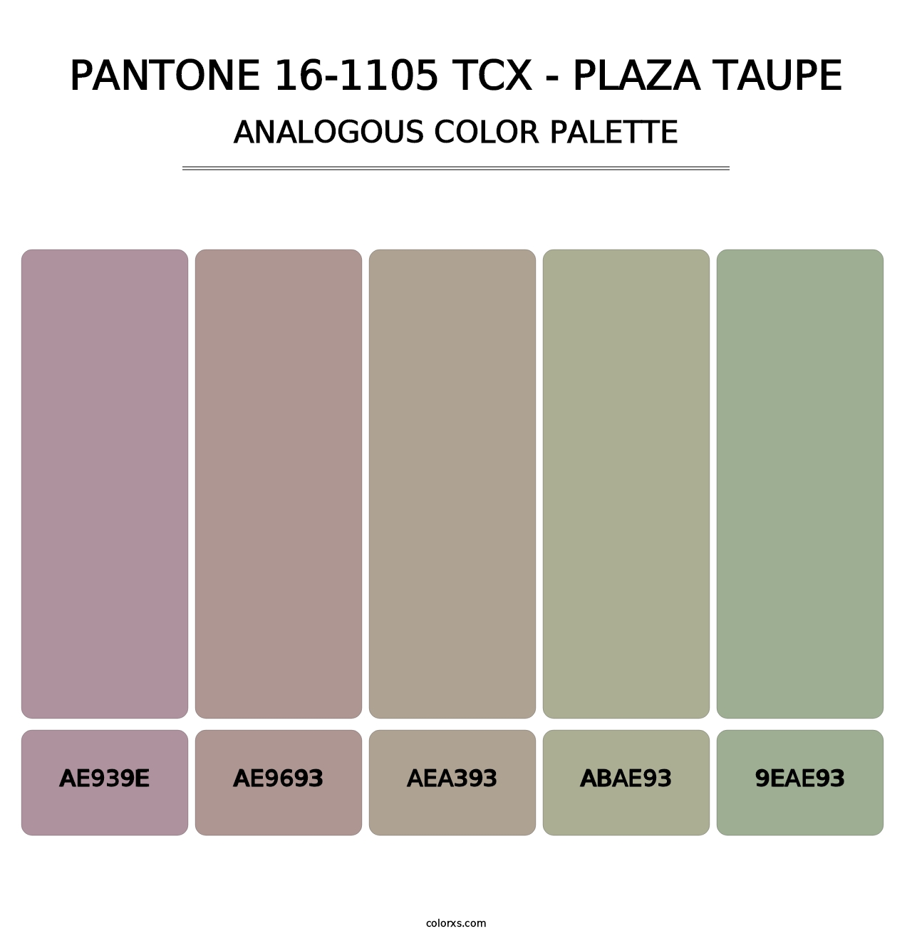 PANTONE 16-1105 TCX - Plaza Taupe - Analogous Color Palette