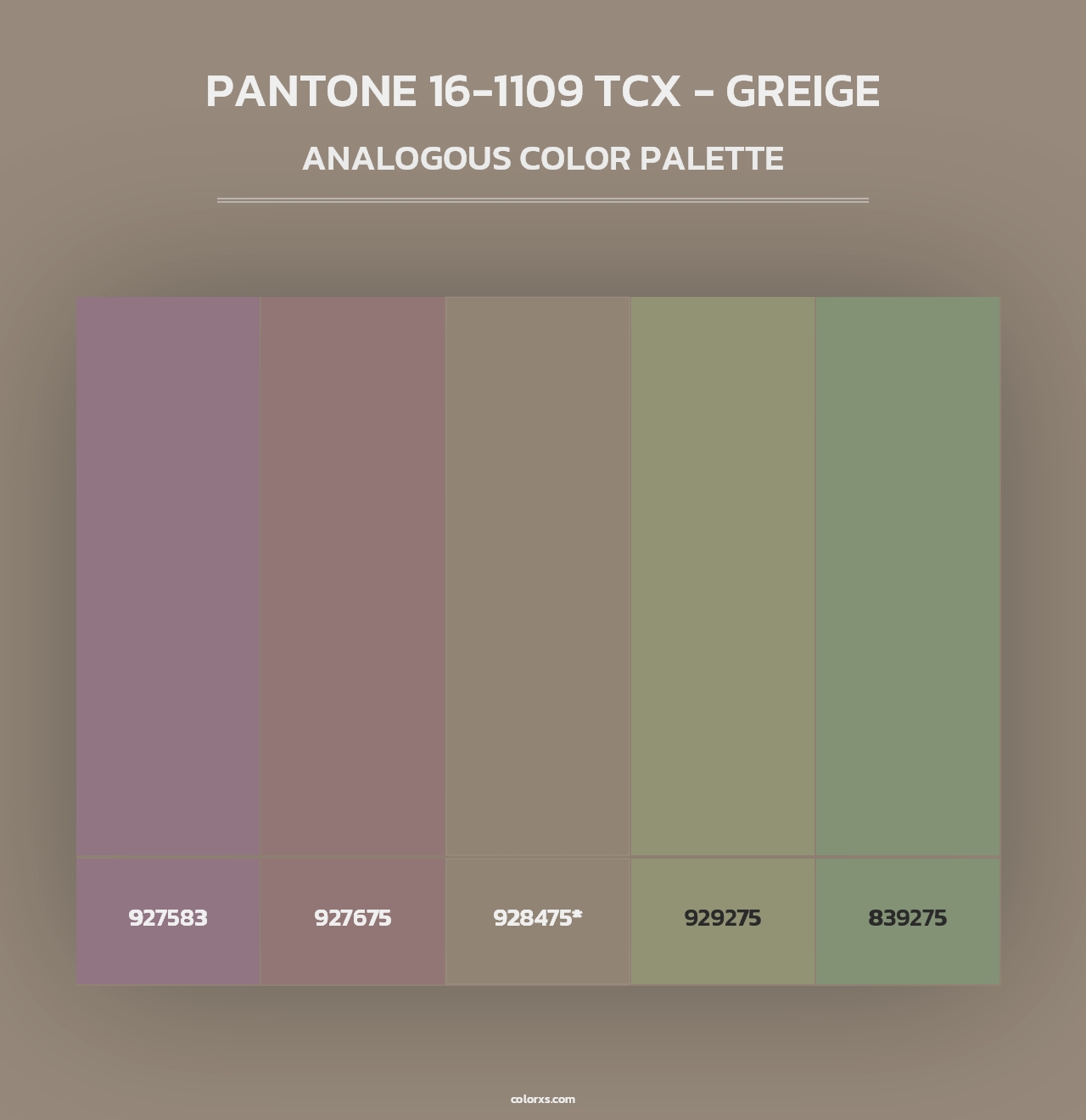 PANTONE 16-1109 TCX - Greige - Analogous Color Palette
