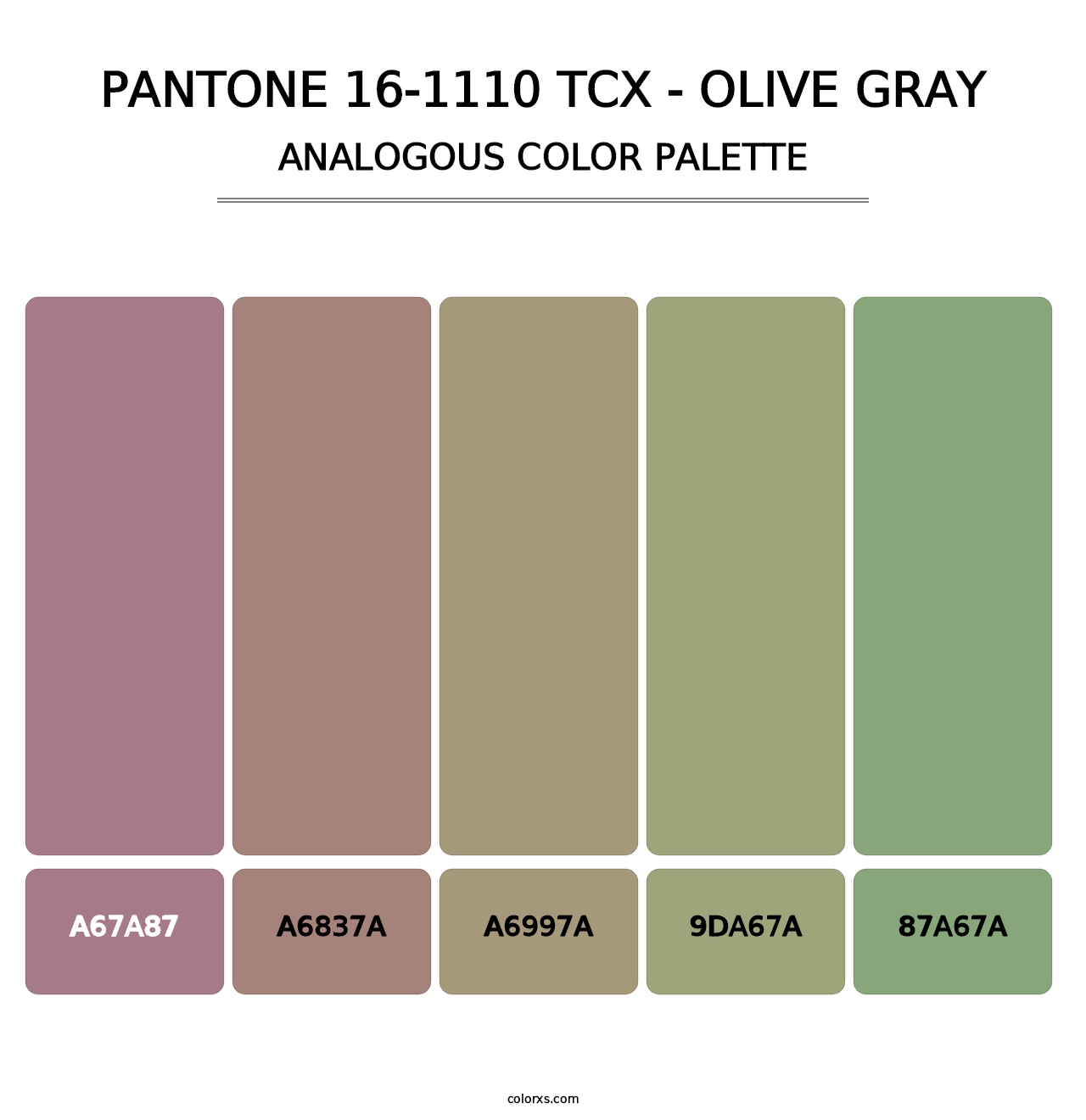 PANTONE 16-1110 TCX - Olive Gray - Analogous Color Palette