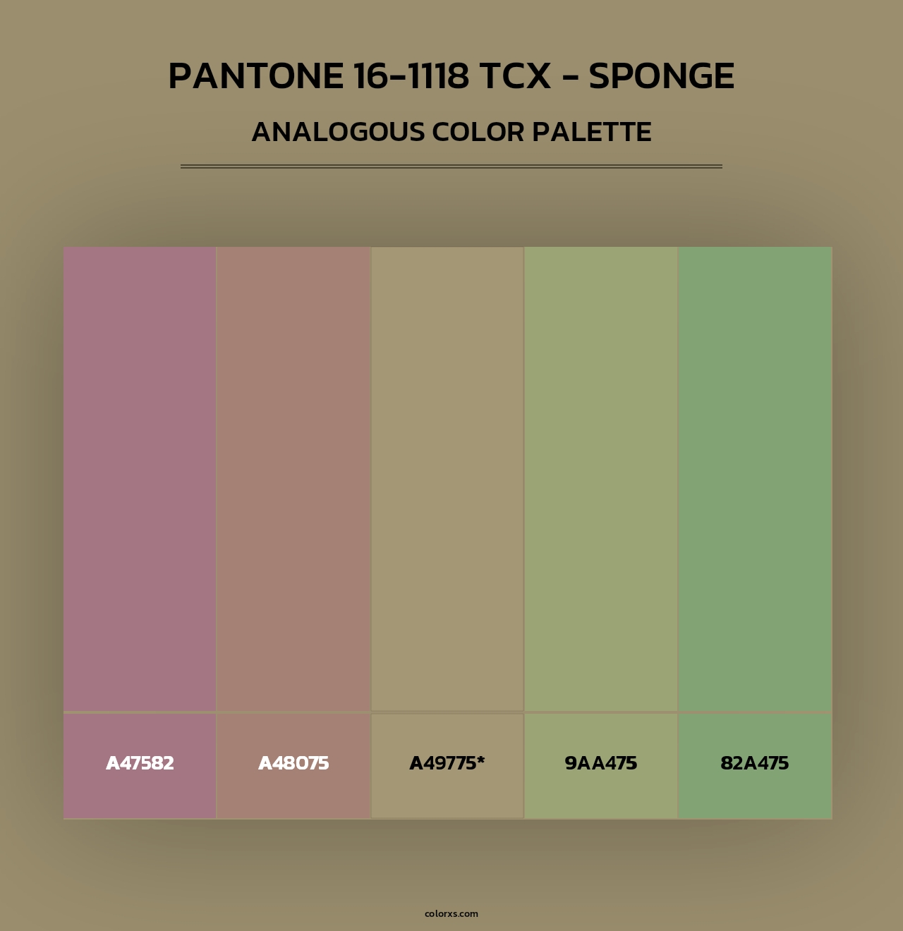 PANTONE 16-1118 TCX - Sponge - Analogous Color Palette