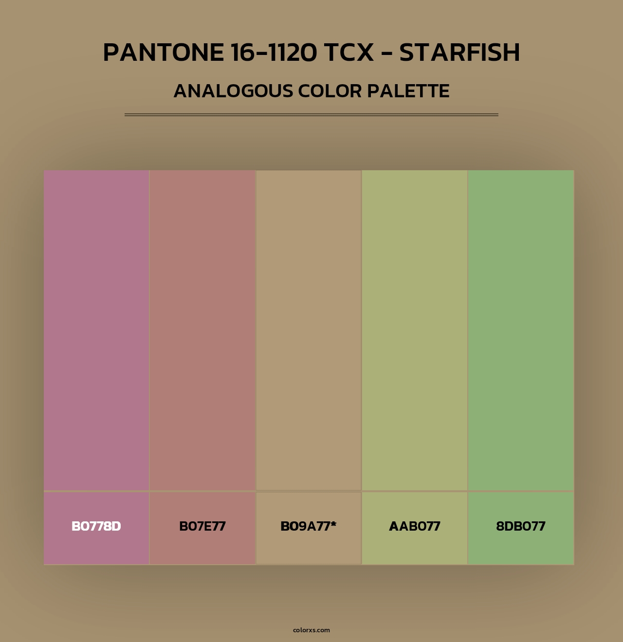 PANTONE 16-1120 TCX - Starfish - Analogous Color Palette