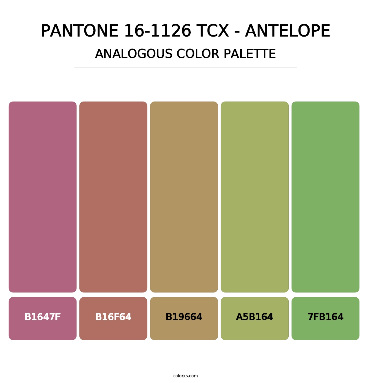 PANTONE 16-1126 TCX - Antelope - Analogous Color Palette