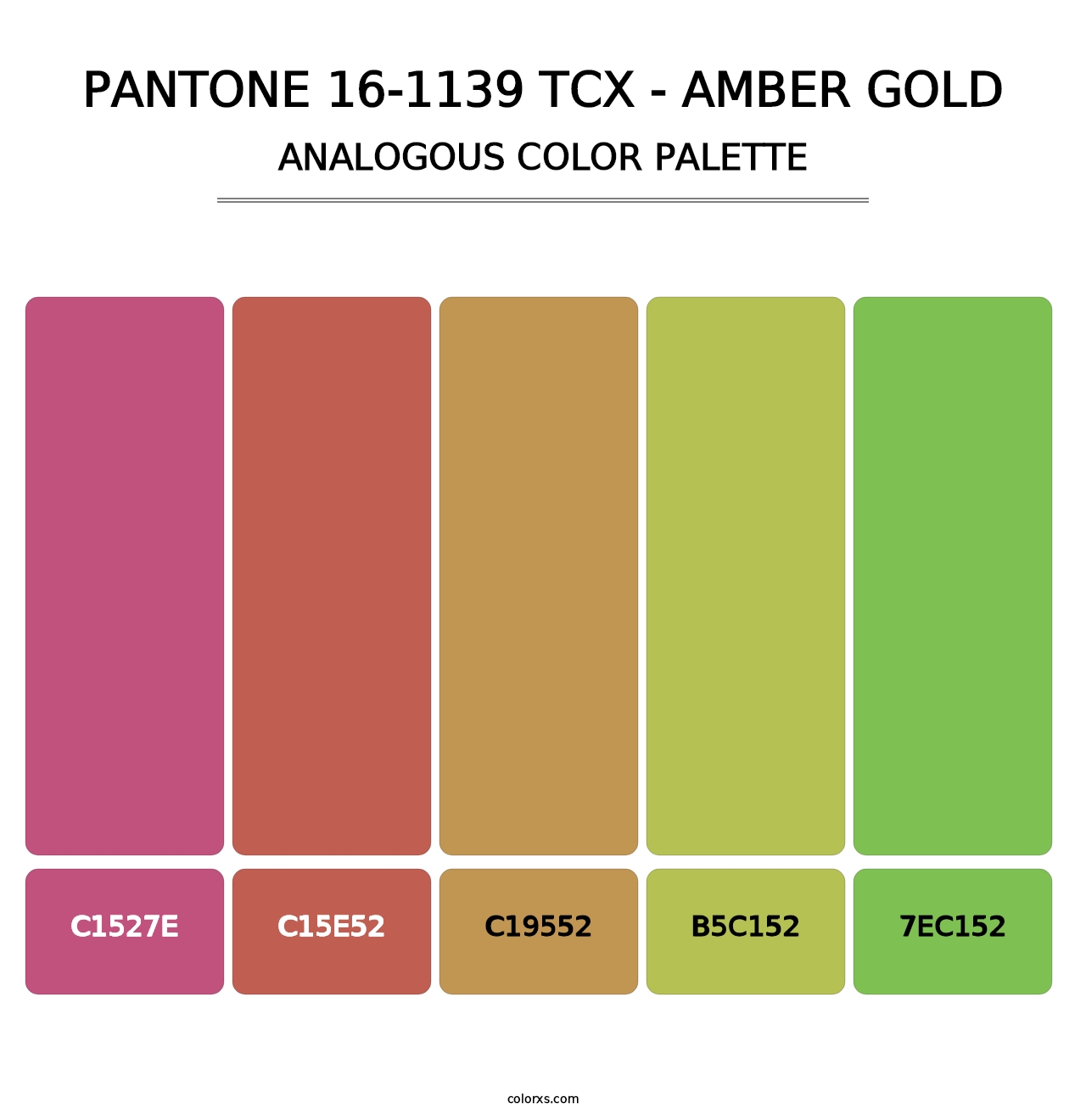 PANTONE 16-1139 TCX - Amber Gold - Analogous Color Palette