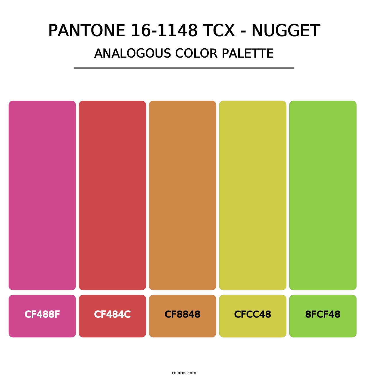 PANTONE 16-1148 TCX - Nugget - Analogous Color Palette
