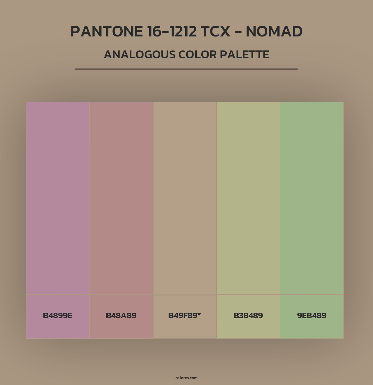 PANTONE 16-1212 TCX - Nomad - Analogous Color Palette