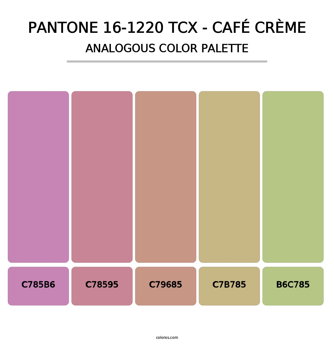 PANTONE 16-1220 TCX - Café Crème - Analogous Color Palette