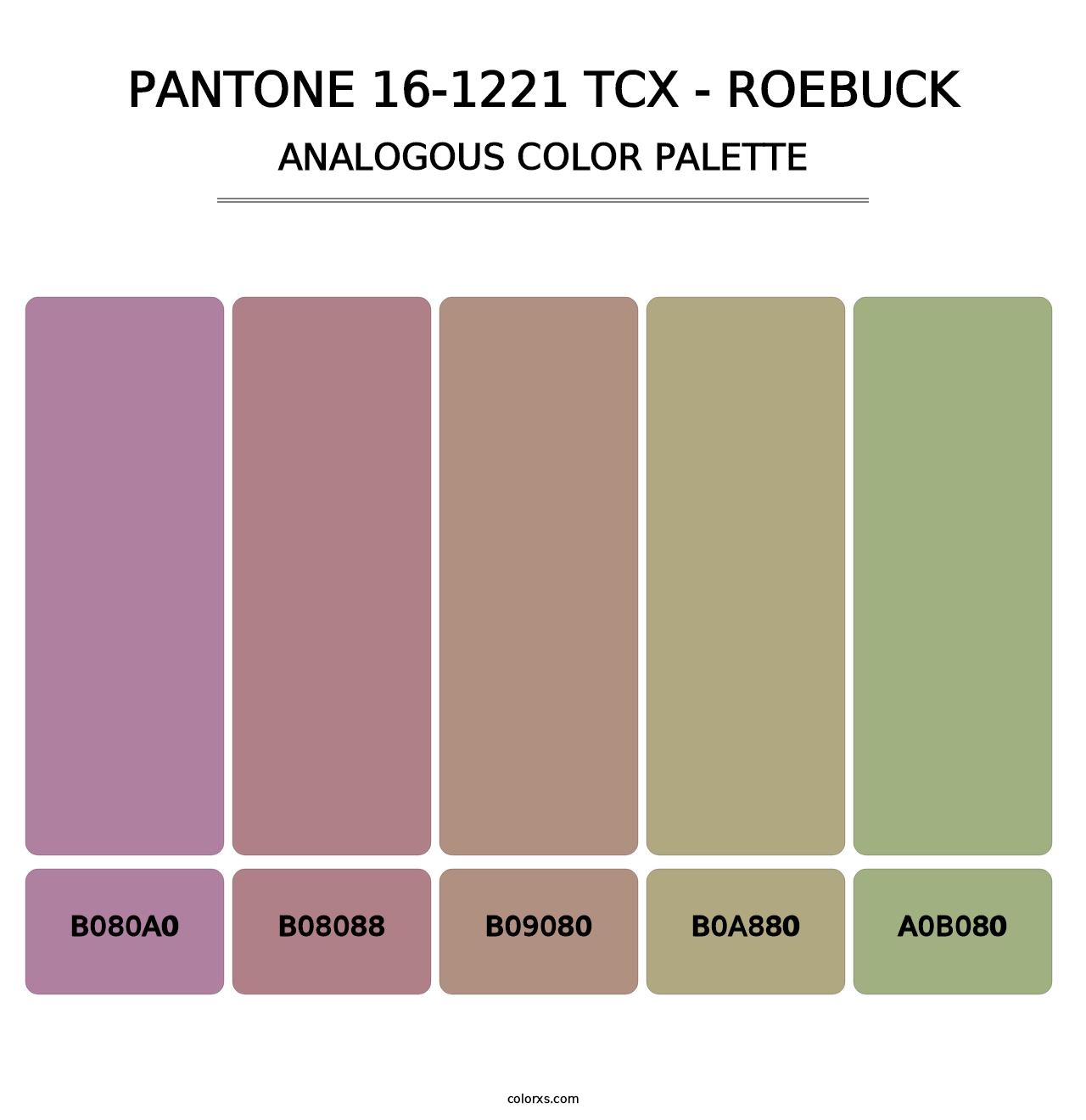 PANTONE 16-1221 TCX - Roebuck - Analogous Color Palette