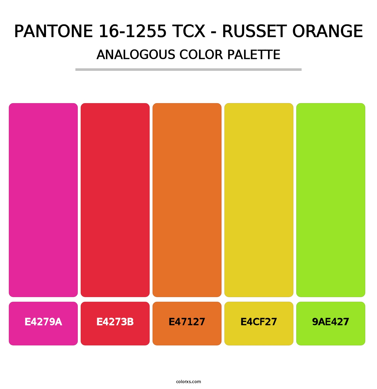 PANTONE 16-1255 TCX - Russet Orange - Analogous Color Palette