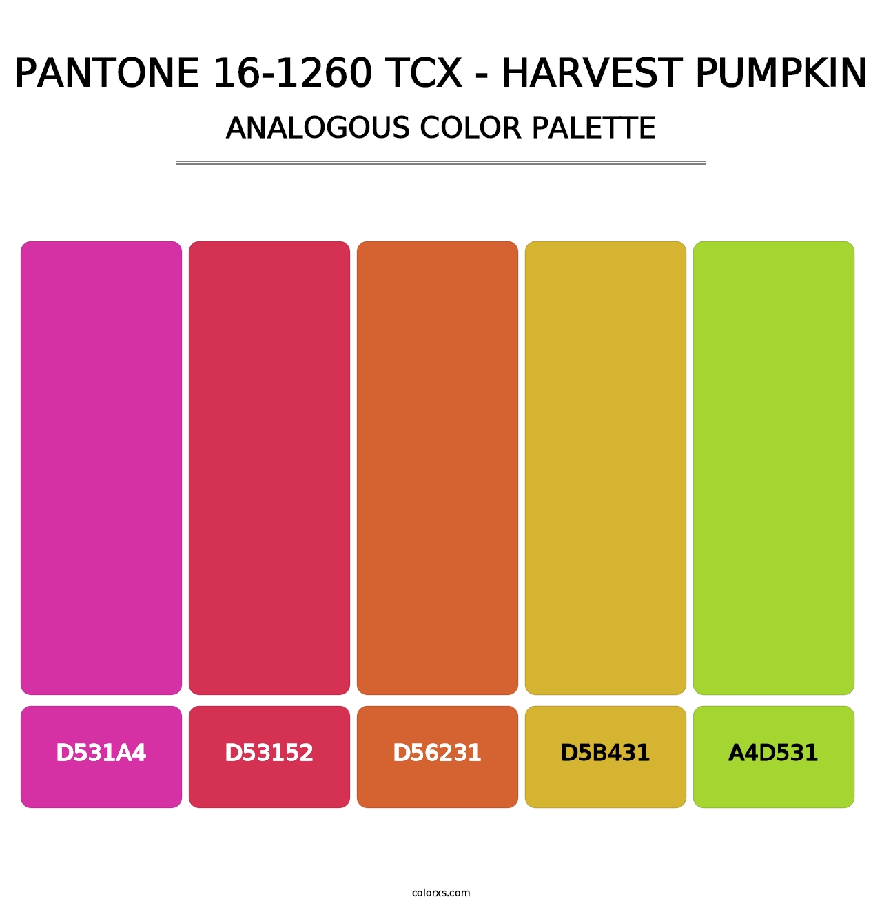 PANTONE 16-1260 TCX - Harvest Pumpkin - Analogous Color Palette