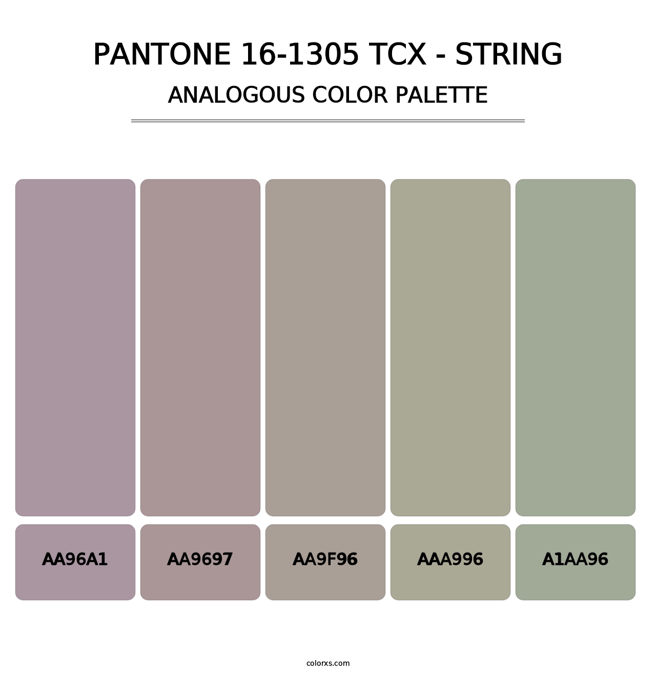 PANTONE 16-1305 TCX - String - Analogous Color Palette