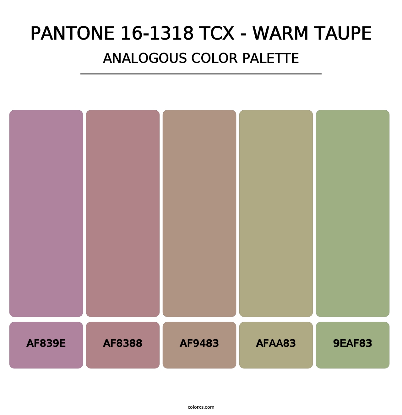PANTONE 16-1318 TCX - Warm Taupe - Analogous Color Palette